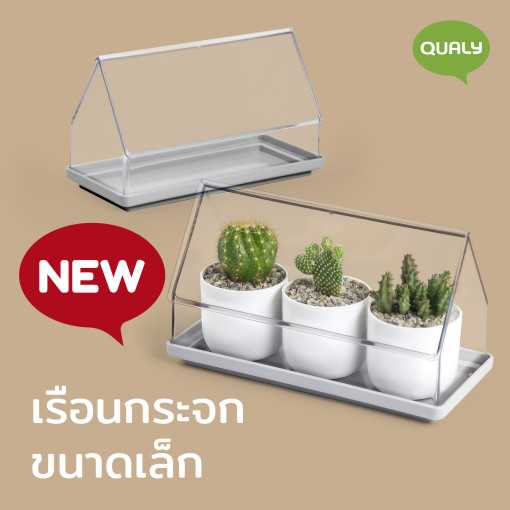 Micro Greenhouse - Plant Tray เรือนกระจกสำหรับปลูกต้นไม้ขนาดเล็ก (ไม่มีกระถางด้านใน) Qualy (ควอลี่)