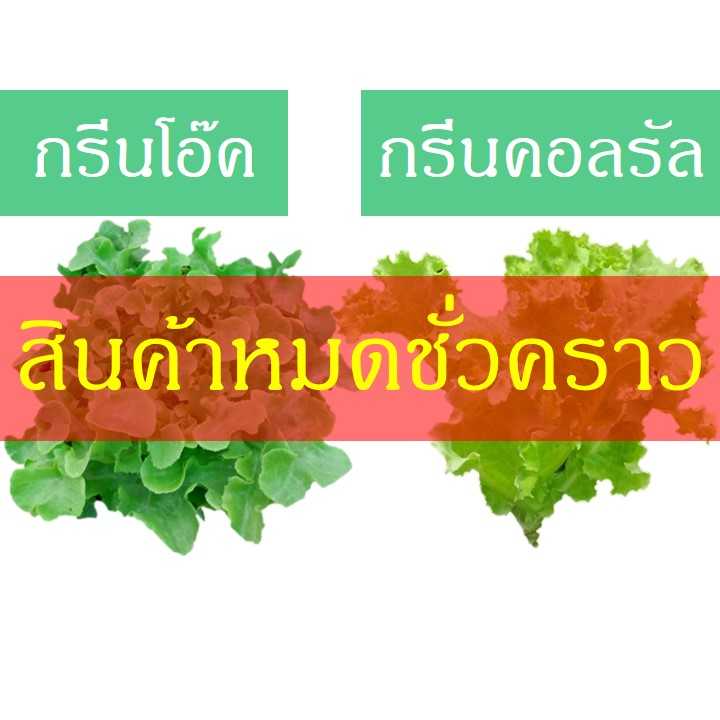 กรีนโอ๊ค-กรีนคอลรัล (200 กรัม)