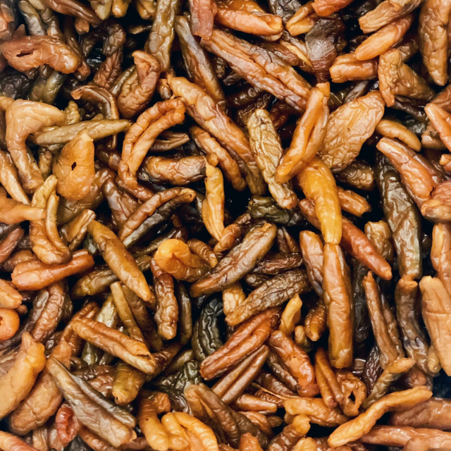 มะดันออแกนิคอบแห้ง (Organic Dried Madan)