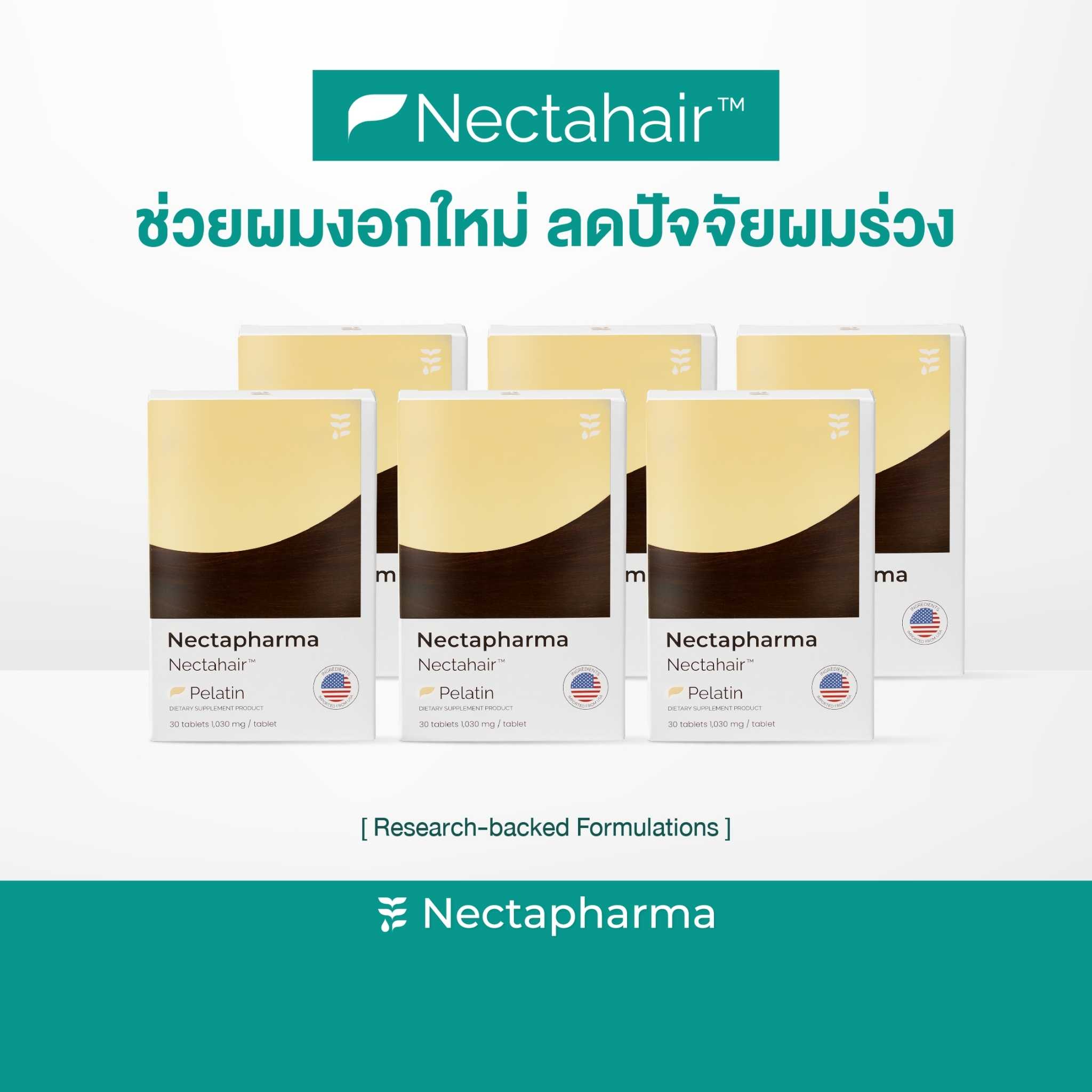 [6 กล่อง ลดเพิ่ม 640 บาท] Nectahair วิตามินลดผมร่วง ผมบาง รองรับด้วยผลวิจัย Pelatin จาก Nectapharma