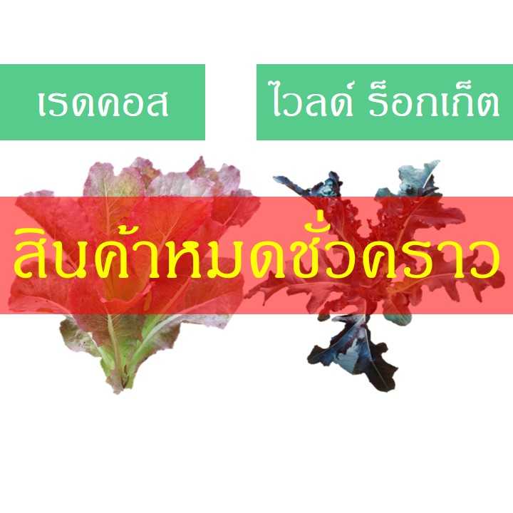 สลัดต่างประเทศ (600 กรัม)