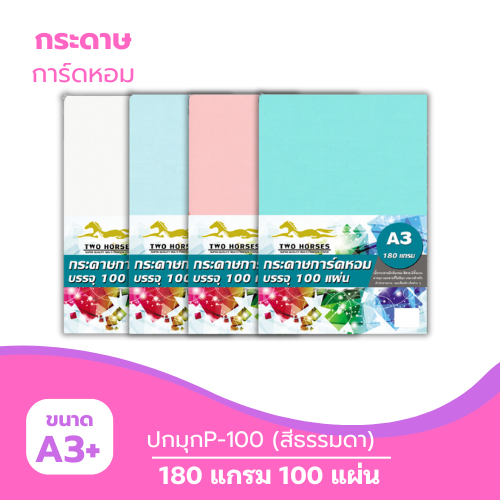ปกมุก A3-P100 หนา 180g. สีธรรมดา