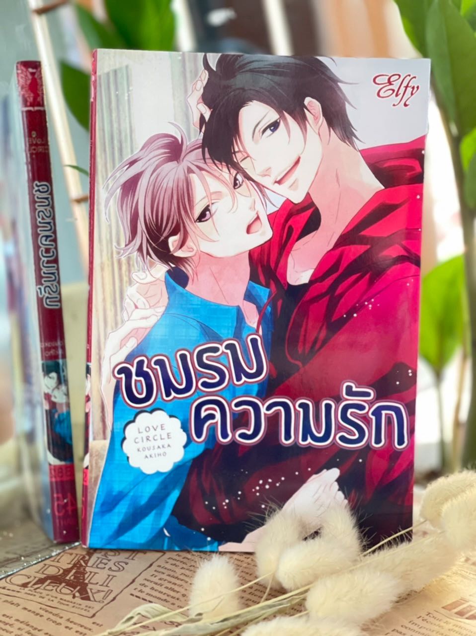 ชมรมความรัก