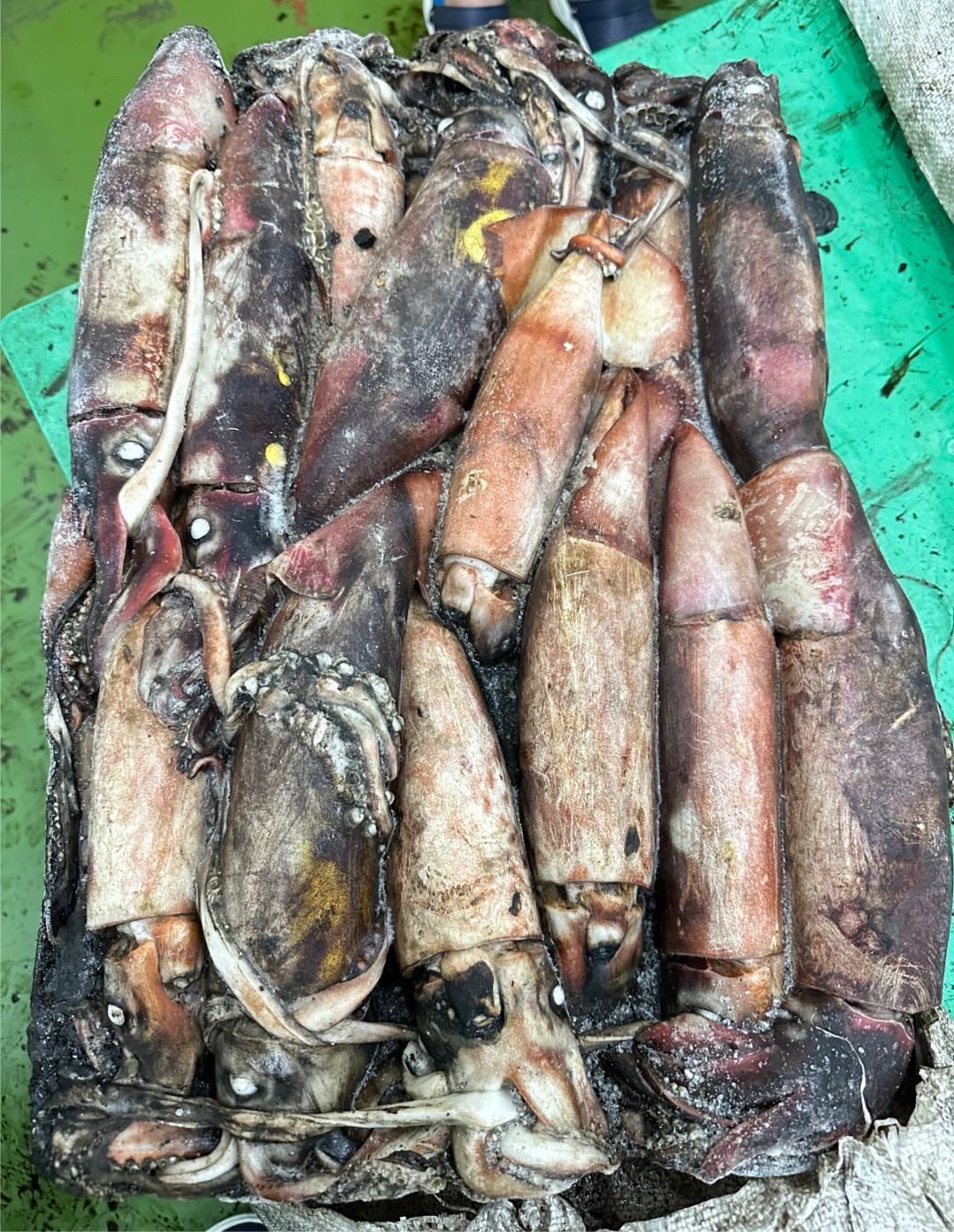 หมึกดำ 300/500 15 โล