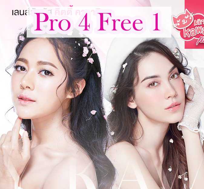 Pro 4 Free 1