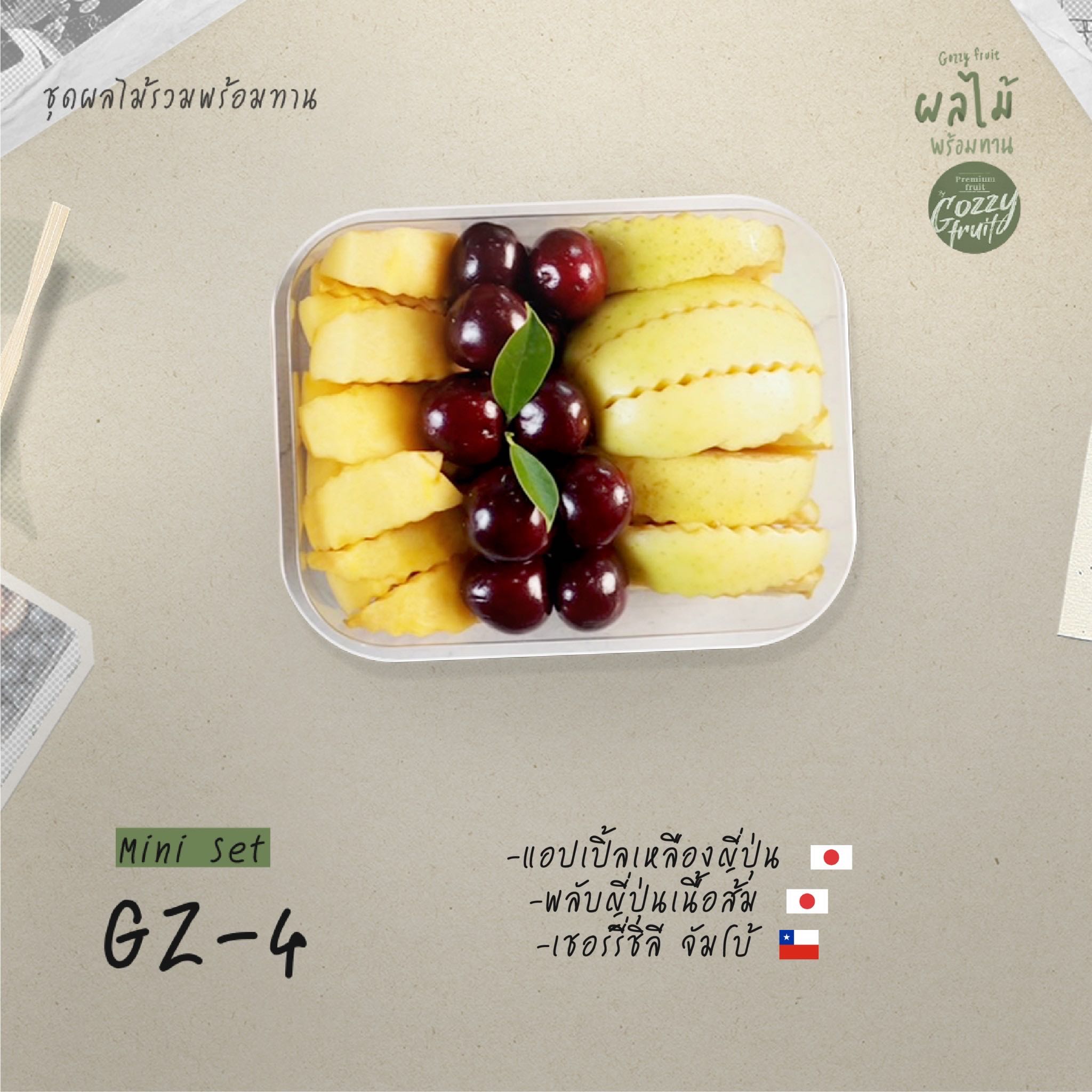 ชุดผลไม้รวมพร้อมทาน Mini Set GZ-4