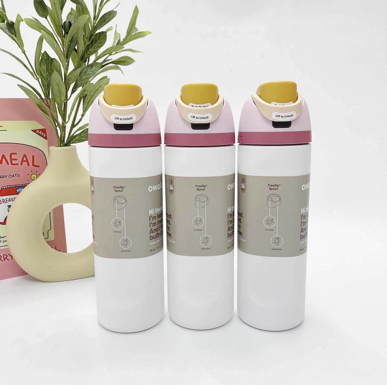 Owala FreeSip 24Oz (Blushing Ballerina )