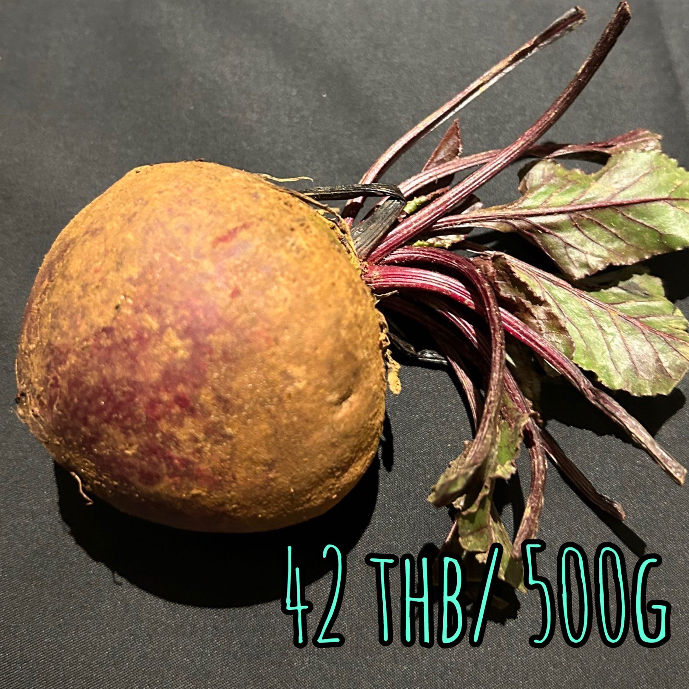 Beetroot ビートルート บีทรูท