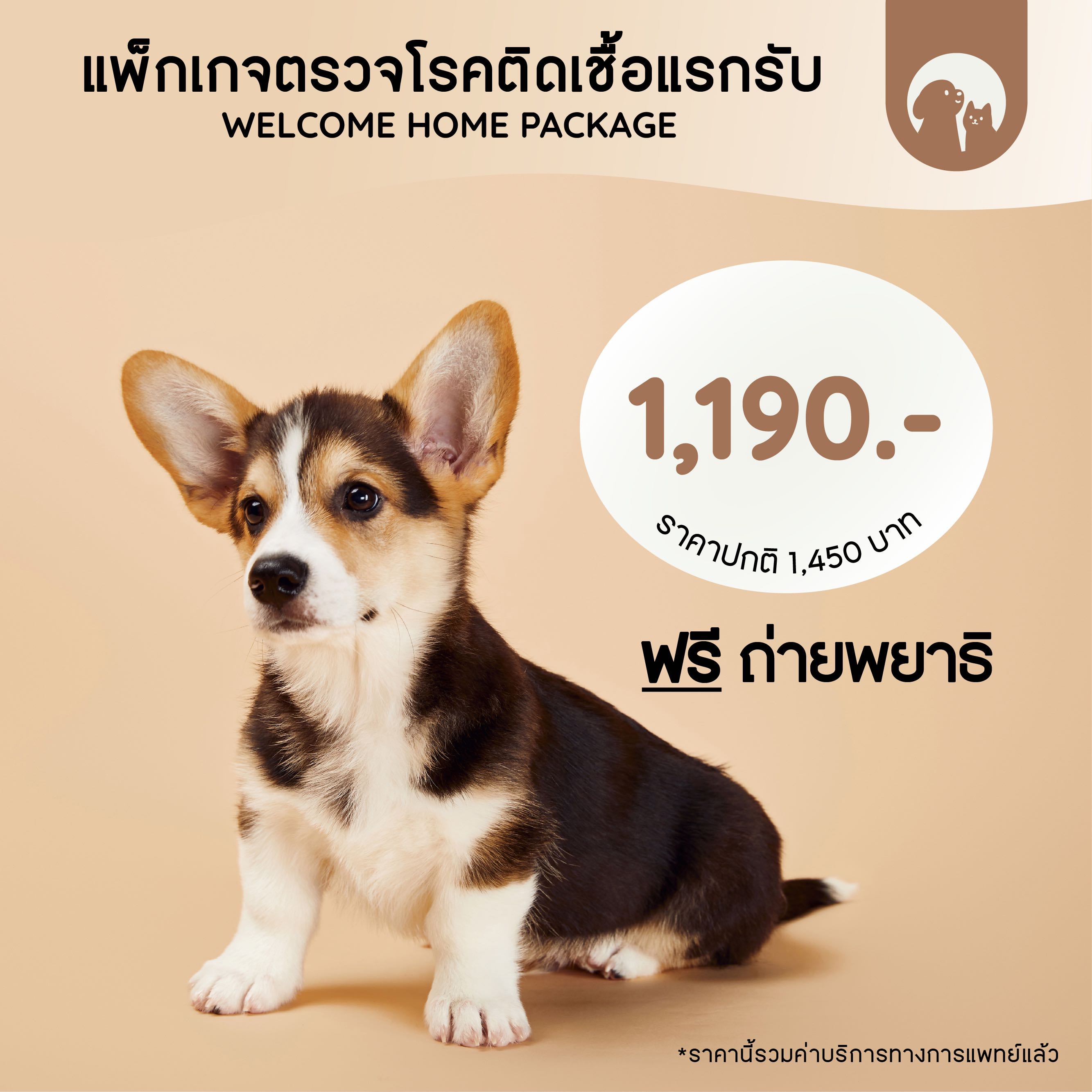 แพ็กเกจตรวจโรคติดเชื้อแรกรับสำหรับสุนัข