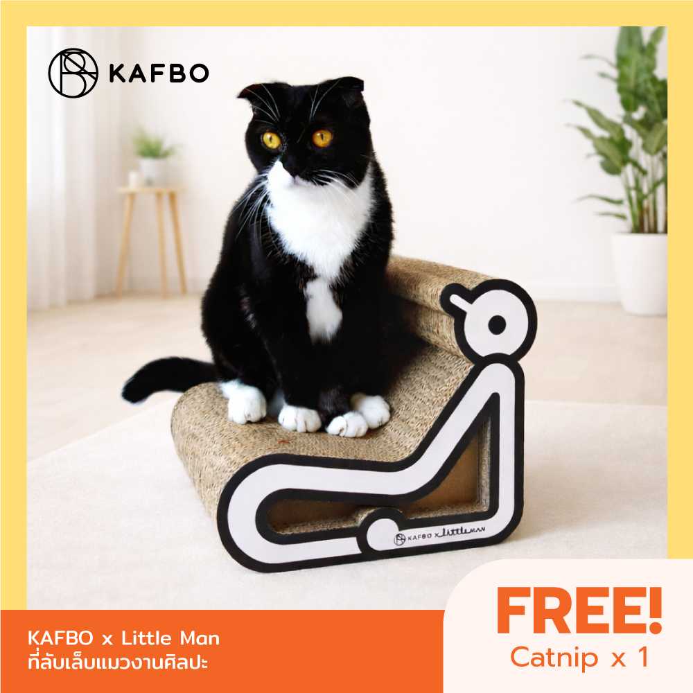 KAFBO x Little Man ที่ลับเล็บแมวงานศิลปะ ที่ข่วนเล็บแมว ที่นอนแมว FREE!! Catnip