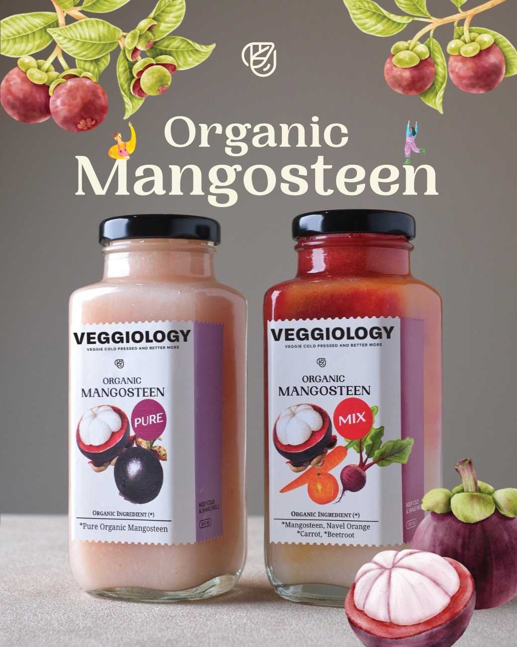 น้ำมังคุดออร์แกนิค Organic Mangosteen