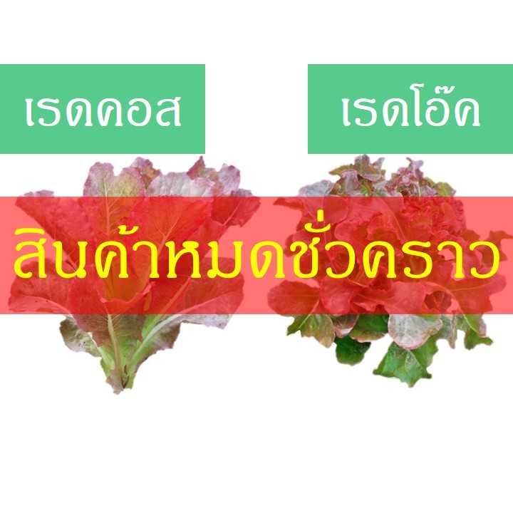 เรดคอส-เรดโอ๊ค (200 กรัม)