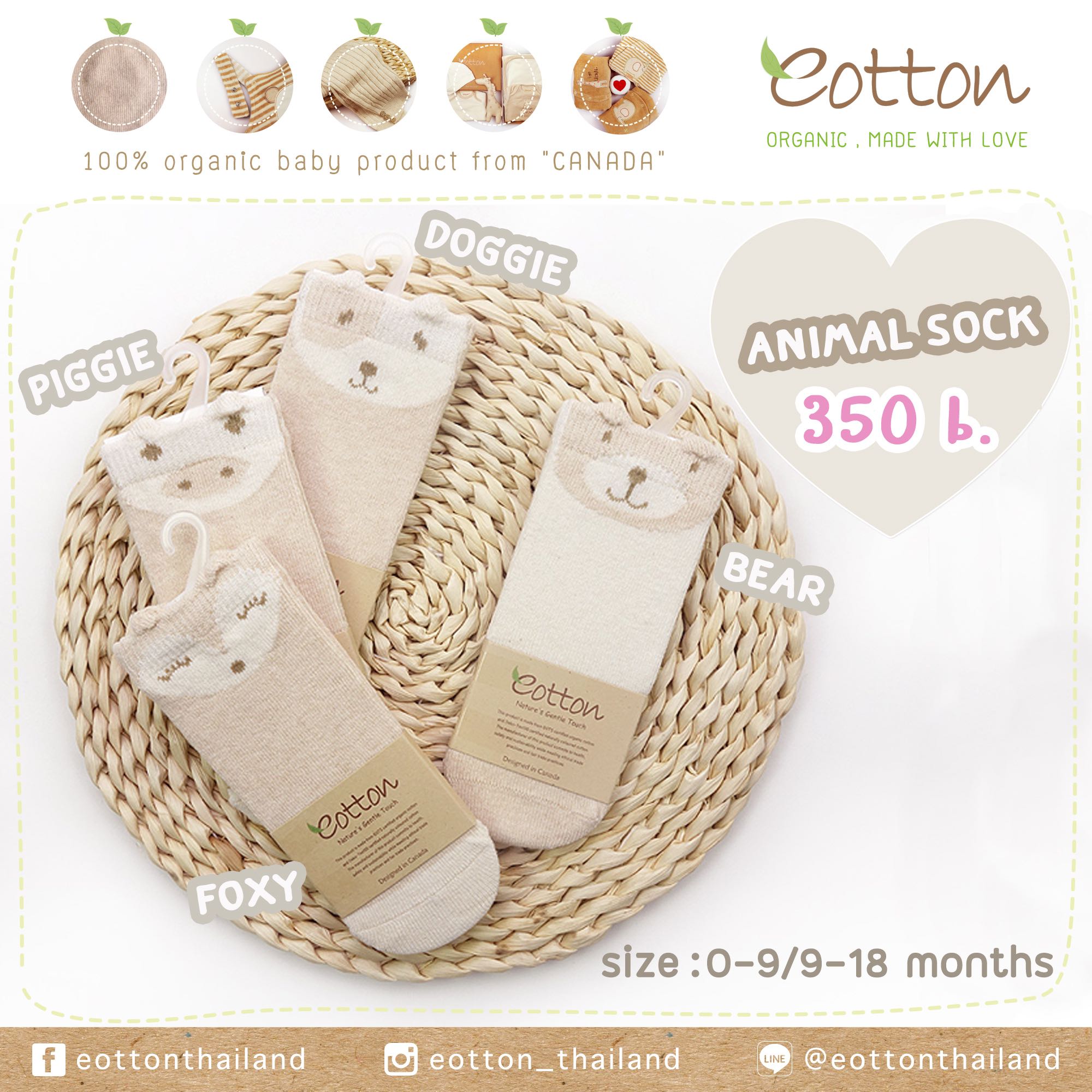 Classic Animal Face Sock ถุงเท้าหน้าสัตว์น้อย ลายหมี/หมา/จิ้งจอก/หมู  ( accessories )