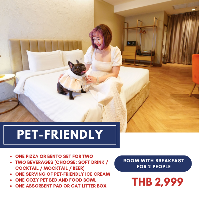 One Price: Pet Staycation Package