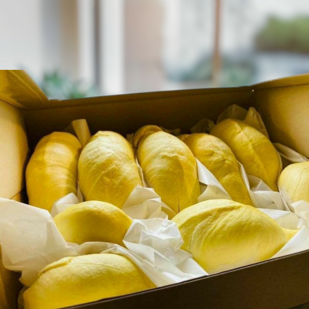 ทุเรียนหมอนทอง