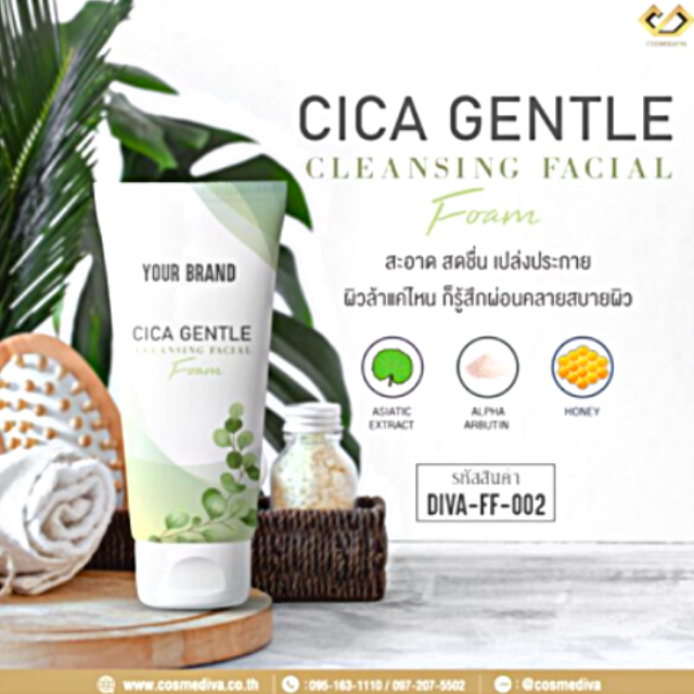 DIVA-FF-002 CICA GENTLE CLEANSING FACIAL FOAM