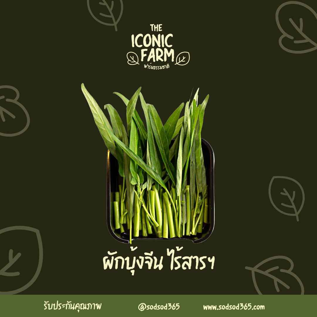 ผักบุ้งจีน ไร้สารฯ 500กรัม