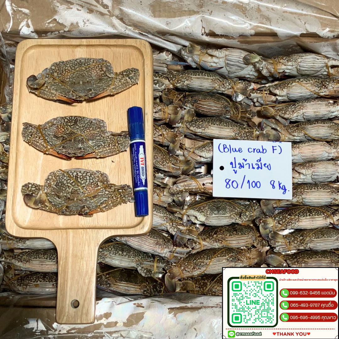 (ฺBlue Crab F) ปูม้าเมีย 80/100 8kg/กล่อง (ตกกิโลละ 115 บาท)