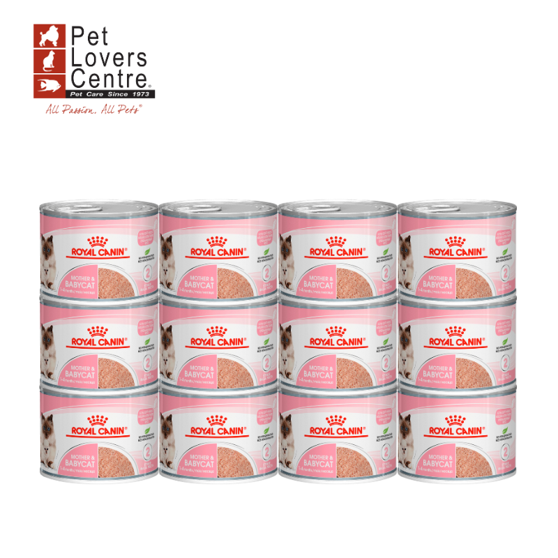 Royal Canin FHW BABYCAT CAN สำหรับลูกแมวและแม่แมวตั้งท้อง ขนาด 195 กรัม (12 กระป๋อง)