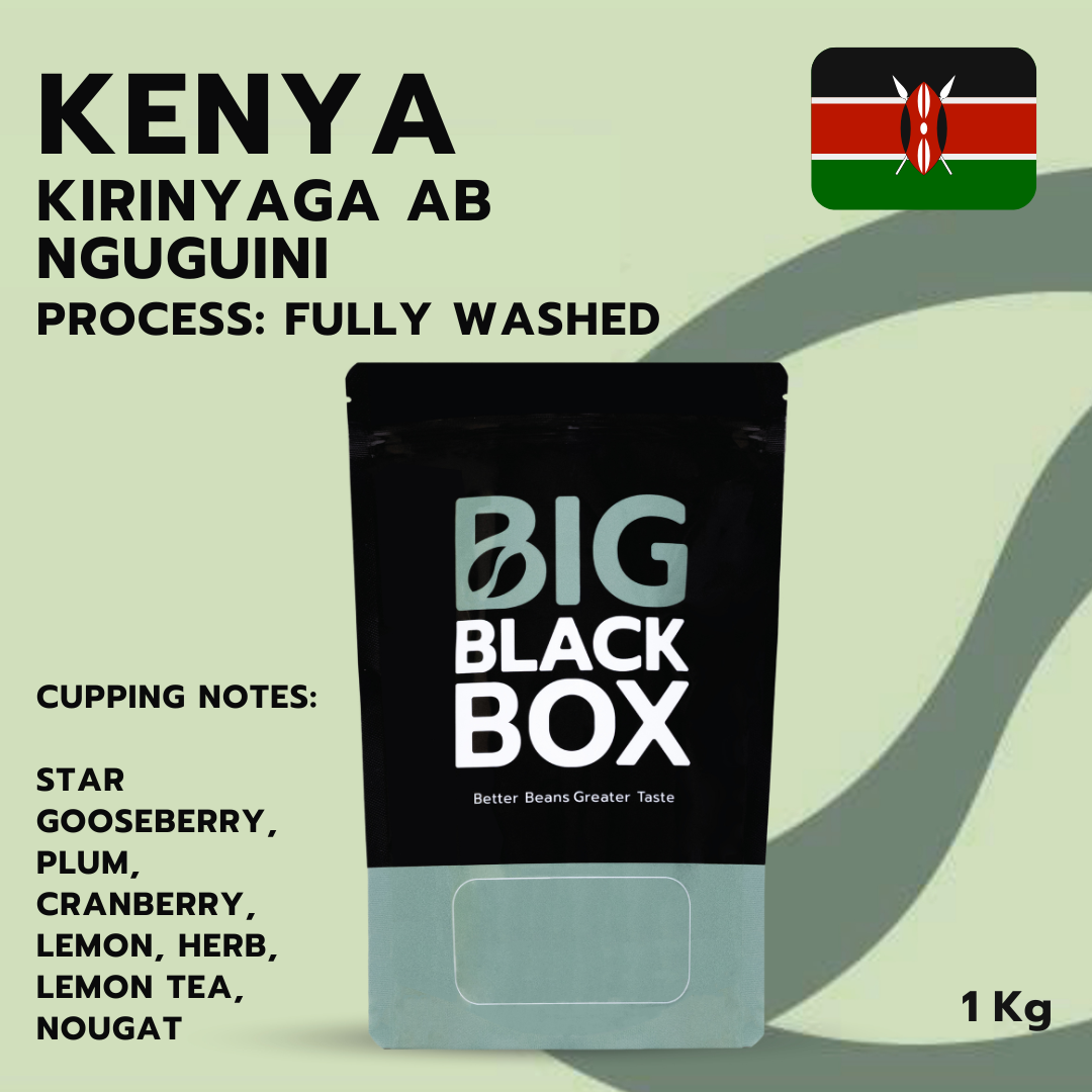 (1G-AF-KE-S-010) สารกาแฟ Kenya Kirinyaga AB Nguguini Fully Washed  1kg