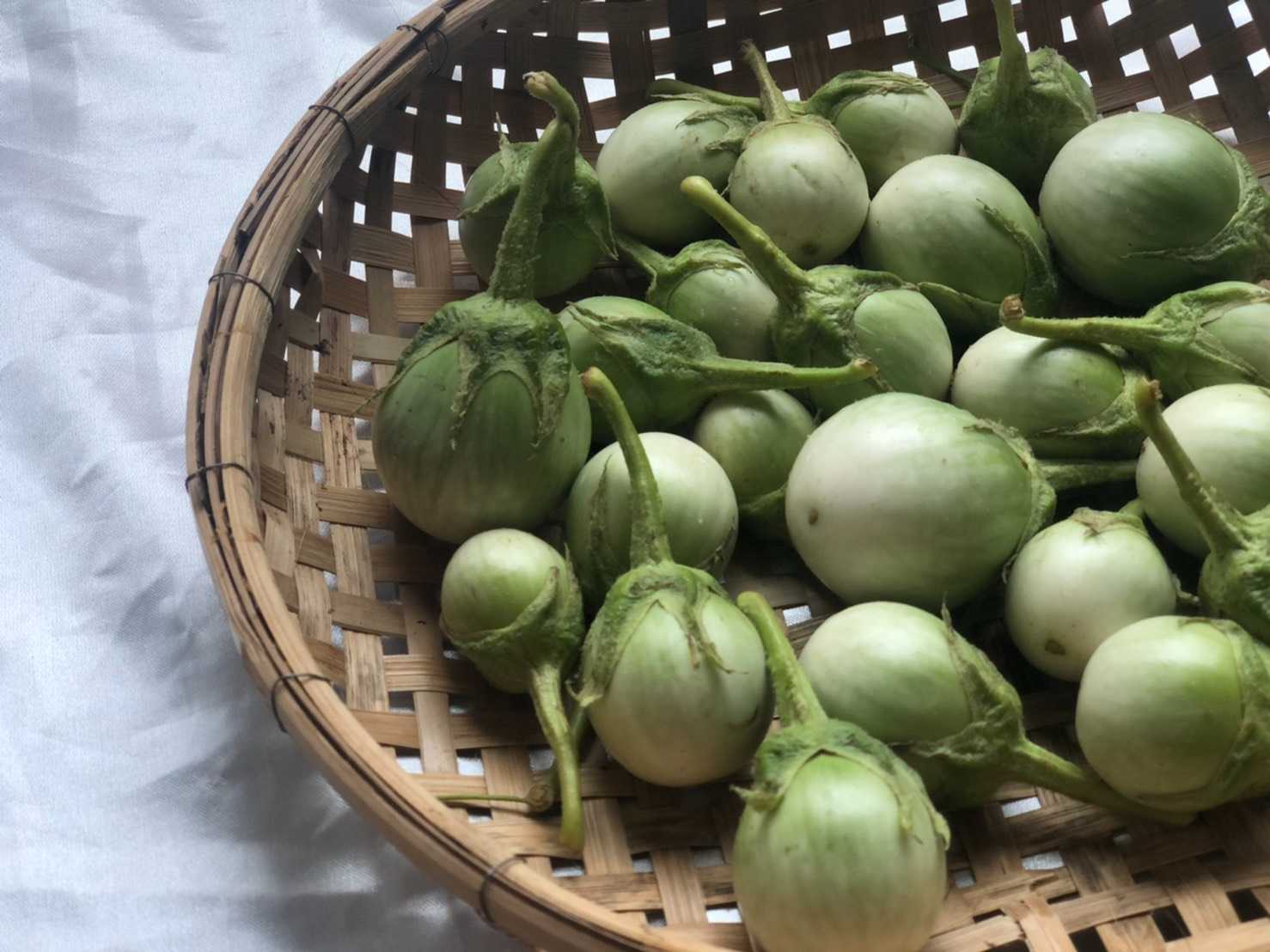 มะเขือเปาะ(500g)