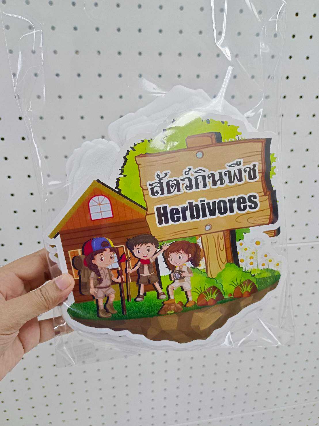 งานสื่อ ชุดเซ็ตจัดบอร์ด ลองโฟม สัตว์กินพืช - สัตว์กินเนื้อ คำศัพท์ไทย&อังกฤษ