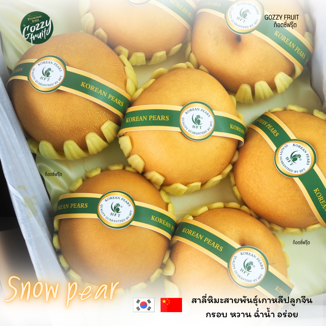 สาลี่หิมะสายพันธ์ุเกาหลี  แบรนด์นกแก้ว