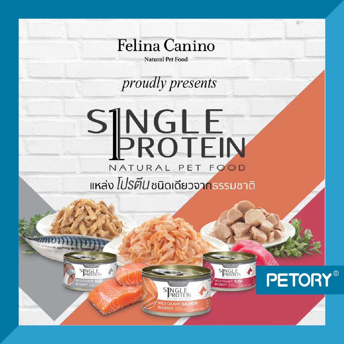 Felina Canino single protein