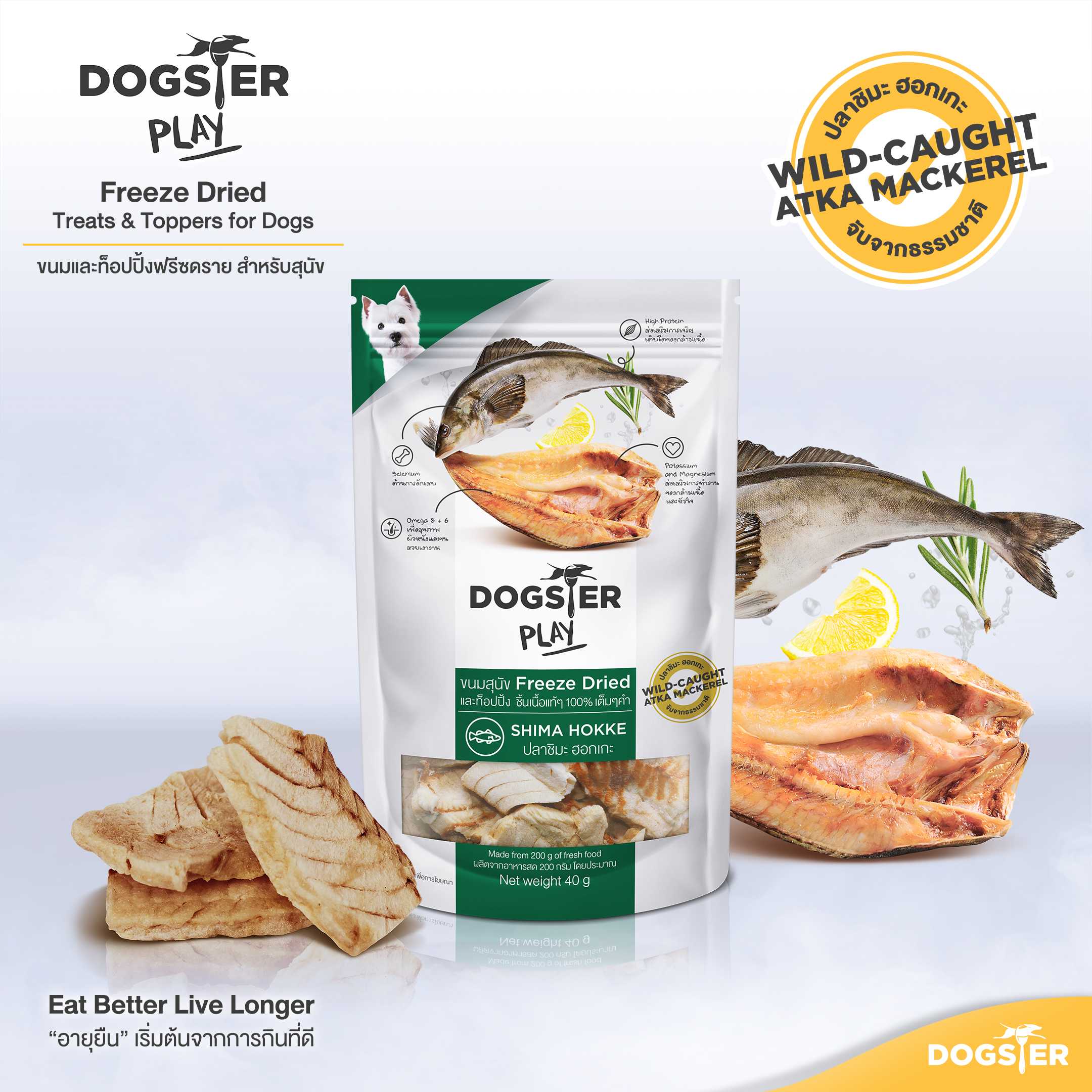 Dogster Play Shima Hokke สูตรปลาชิมะ ฮอกเกะ
