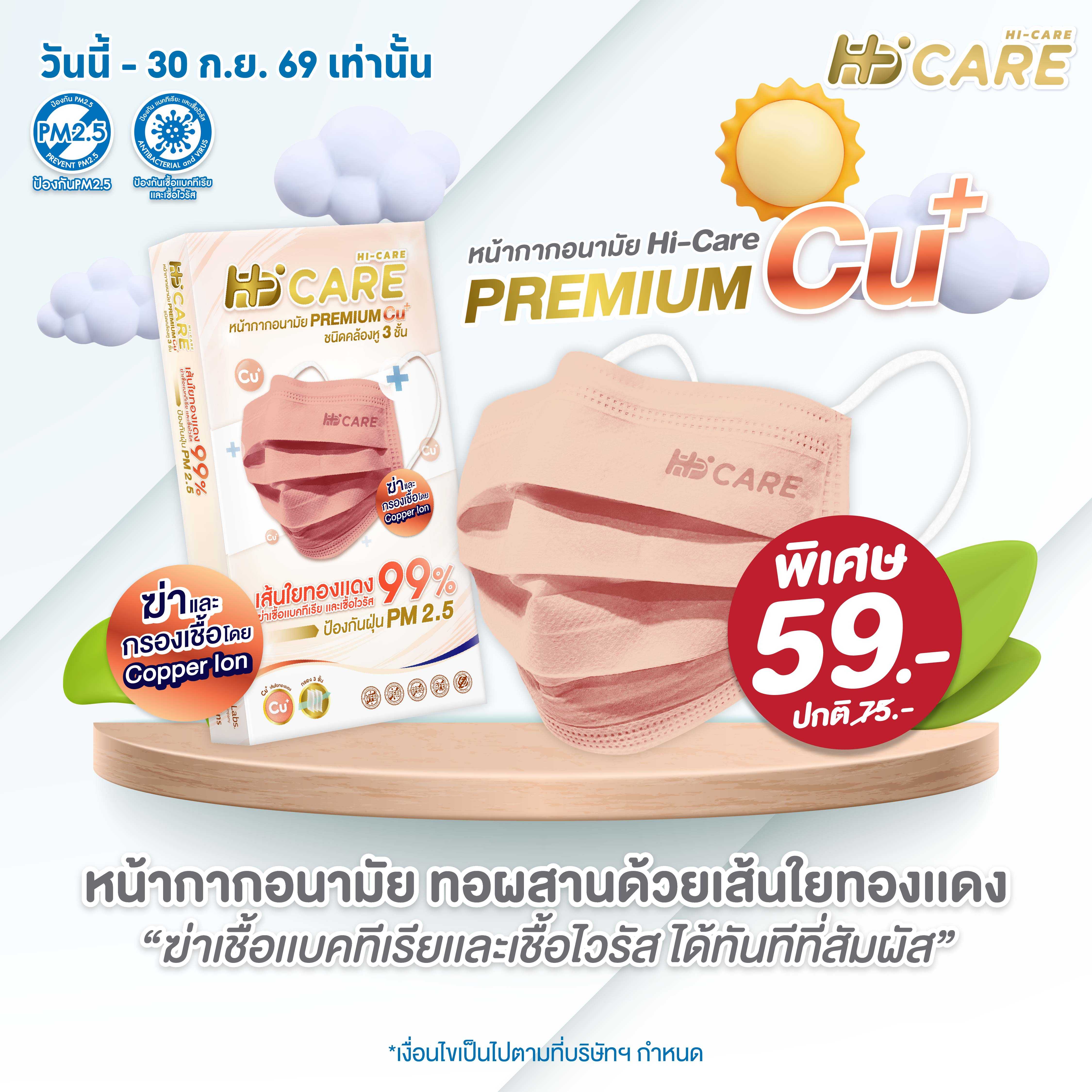 Hi-Care Premium Copper Ion  แผ่นกรอง 3 ชั้น ชนิดคล้องหู  10 ชิ้น