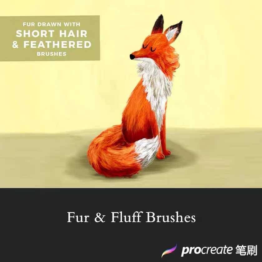 BFA028 Procreate บรัชขนสัตว์ Realistic Fur แฟนซี น่ารัก 5 บรัช