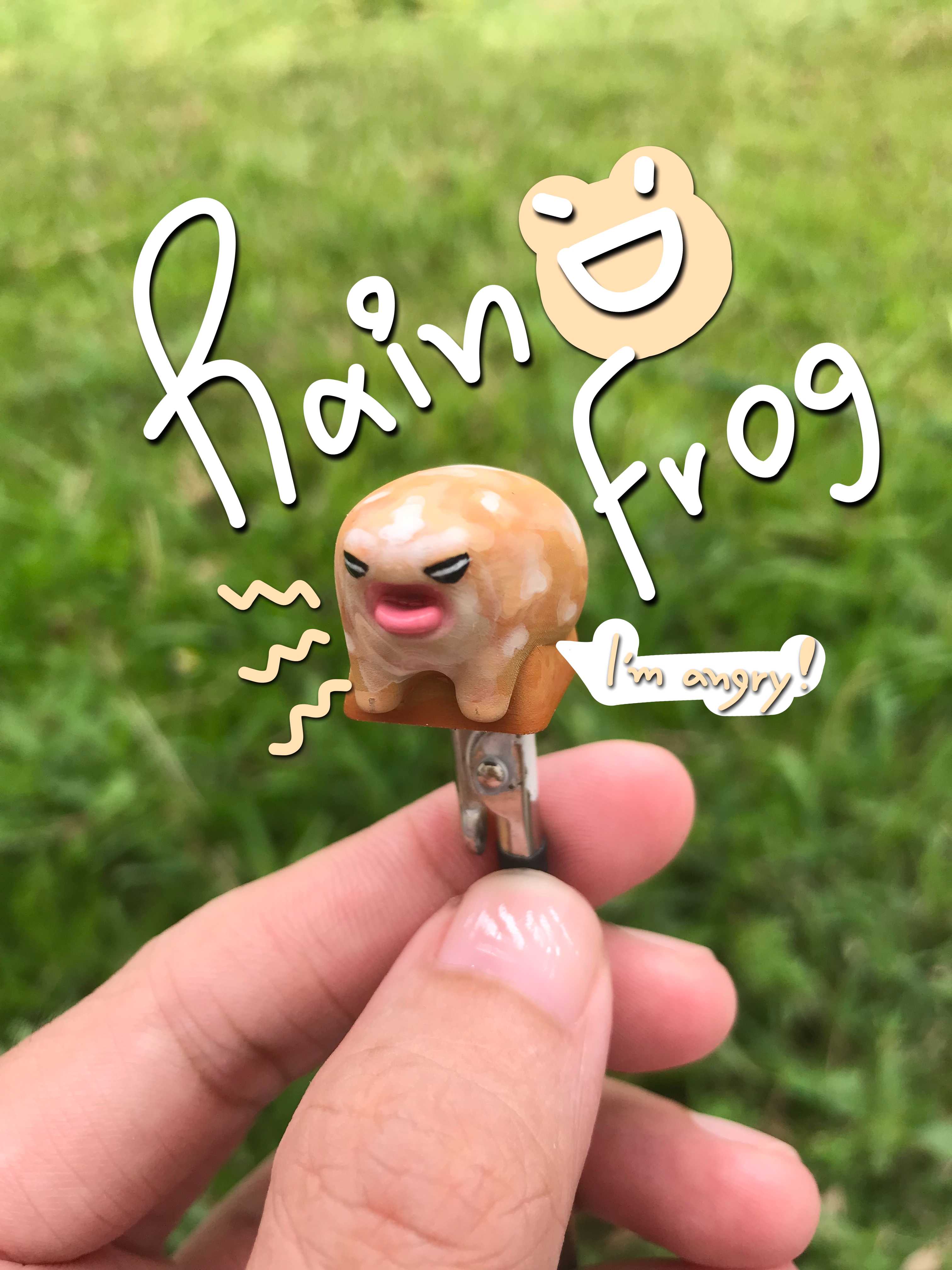 Angry Rain Frog