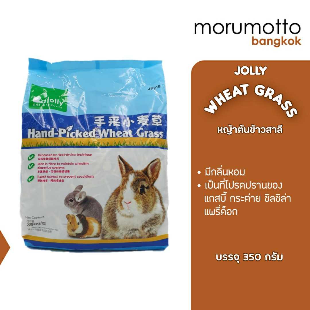 Jolly Hand-Picked Wheat Grass หญ้าต้นข้าวสาลี (350g)