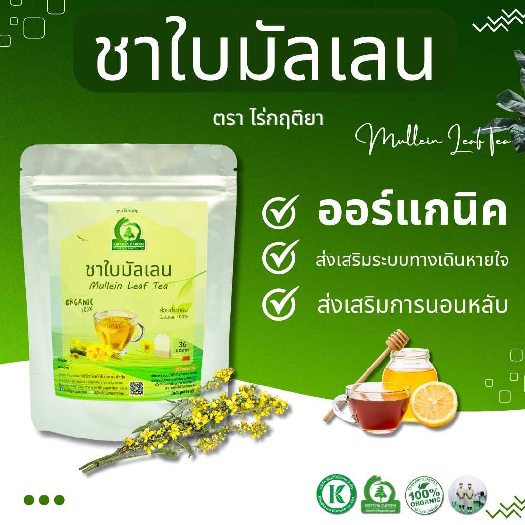 ชาใบมัลเลน (Mullein Leaf Tea) ตราไร่กฤติยา - บรรเทาอาการไอ ส่งเสริมระบบทางเดินหายใจและการนอนหลับ
