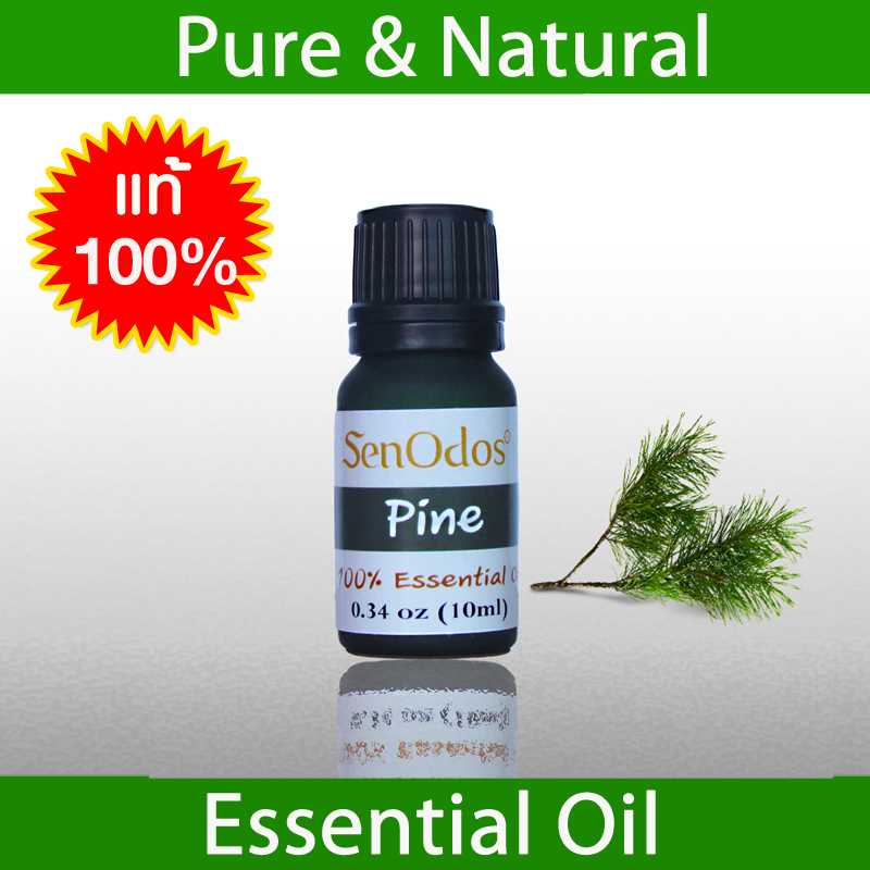 น้ำมันหอมระเหยแท้ 100%  กลิ่นสน  Pine 100% Pure Essential Oil 10 ml.