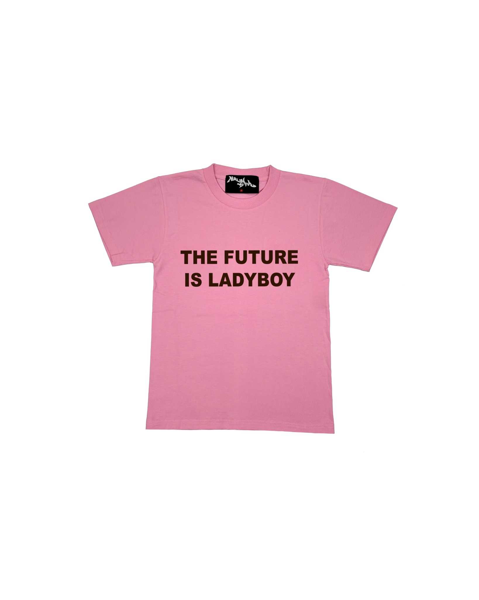 Pink-Brown The Future Is Ladyboy T-shirt