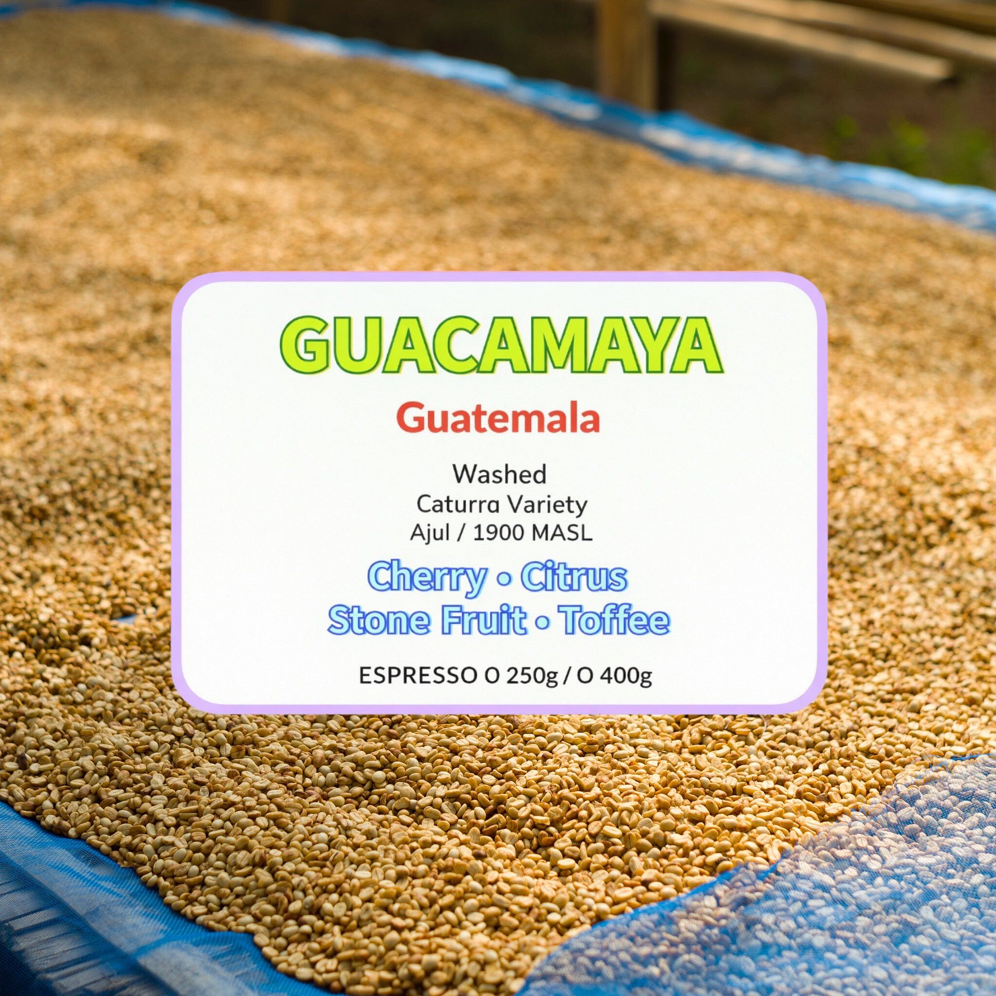 Guacamaya ( Espresso Roasted )