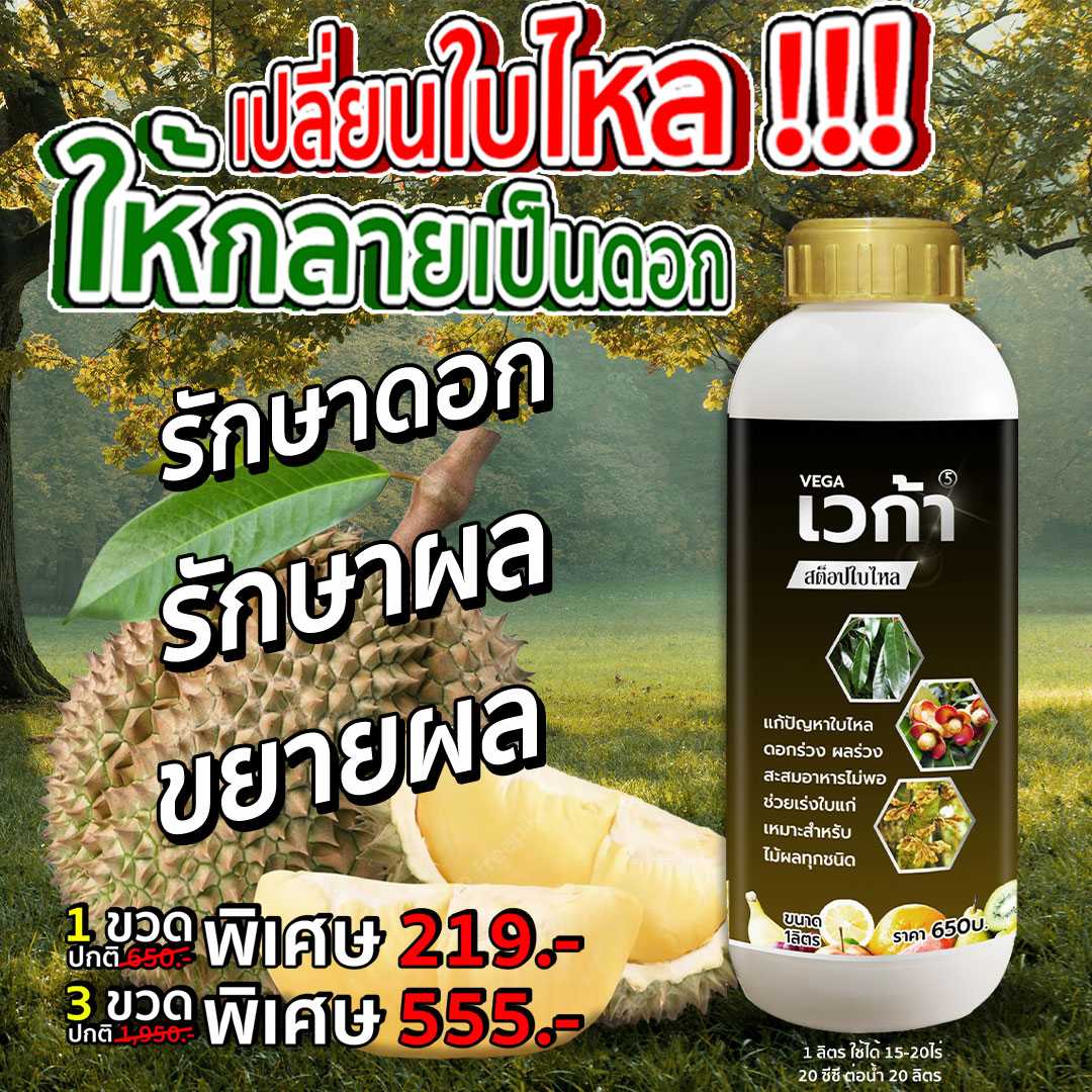 เวก้า5 สต็อปใบไหล
