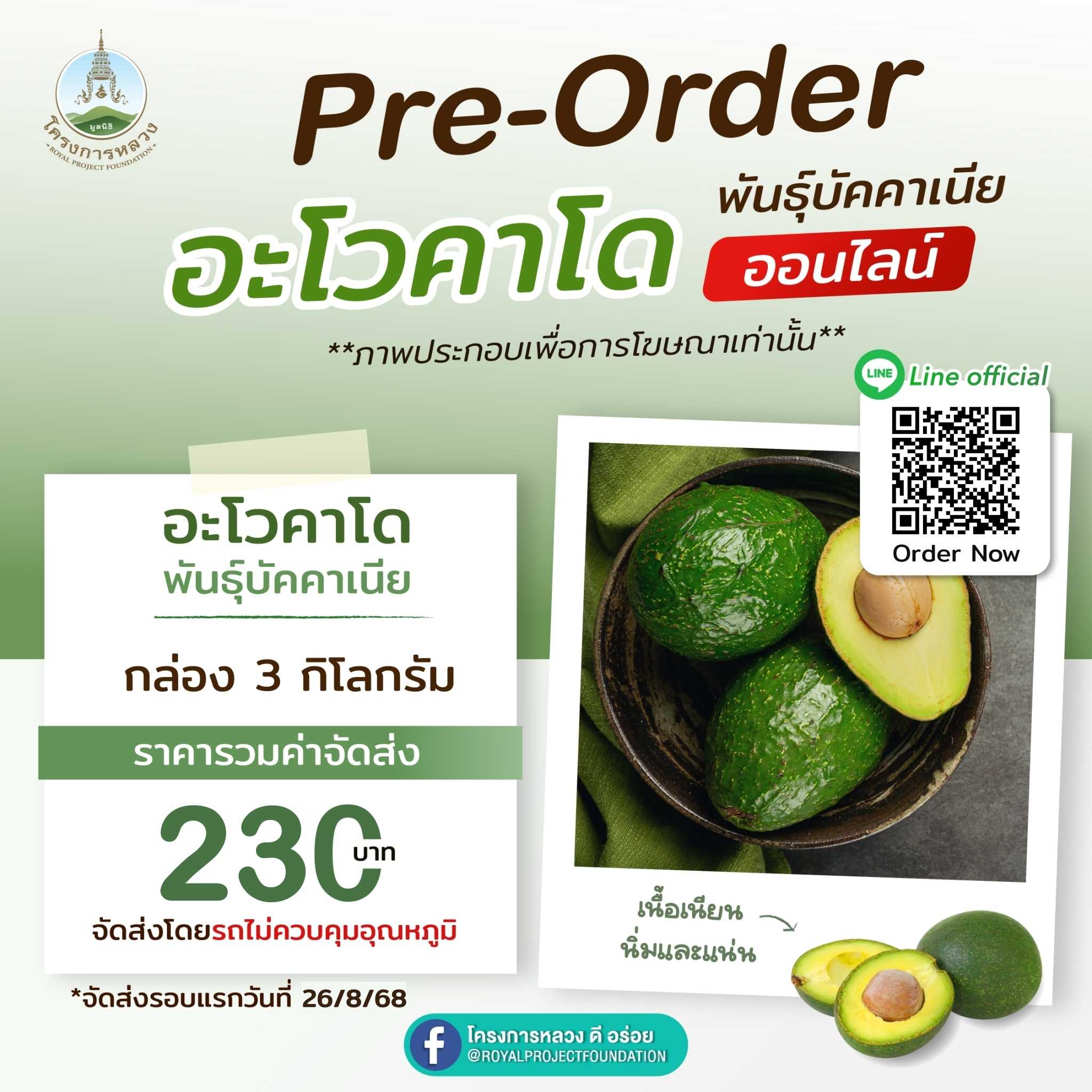 อะโวคาโด พันธุ์บัคคาเนีย (รอบจัดส่งวันอังคารที่ 26/8/68)
