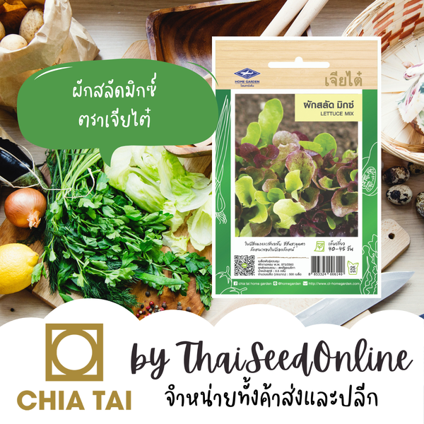 CTF1 เมล็ดพันธุ์ สลัดมิกซ์ ตราเจียไต๋ Lettuce Mix ผักกาดหอม