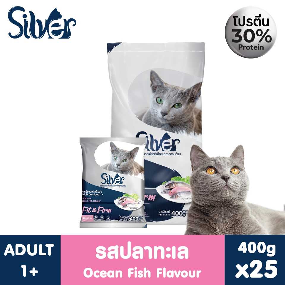 Silver Fit and Firm   ขนาด 400 ก. x 25 ถุง จำนวน 1 กระสอบ แถม พัดลมมือถือ