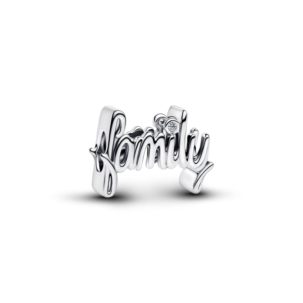 Family sterling silver charm with clear cubic zirconia