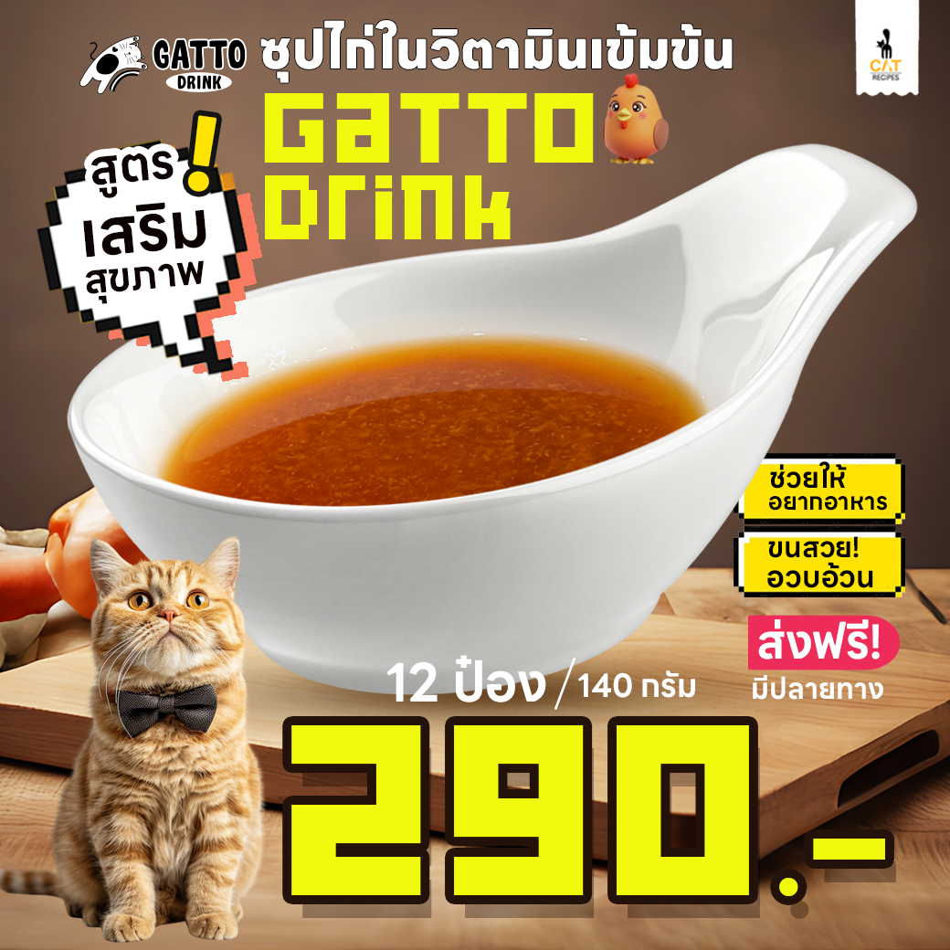 🚚 น้ำซุปไก่ผสมวิตามินเข้มข้น บำรุงสขภาพแมว Gatto Drink (กระป่องบุบ)