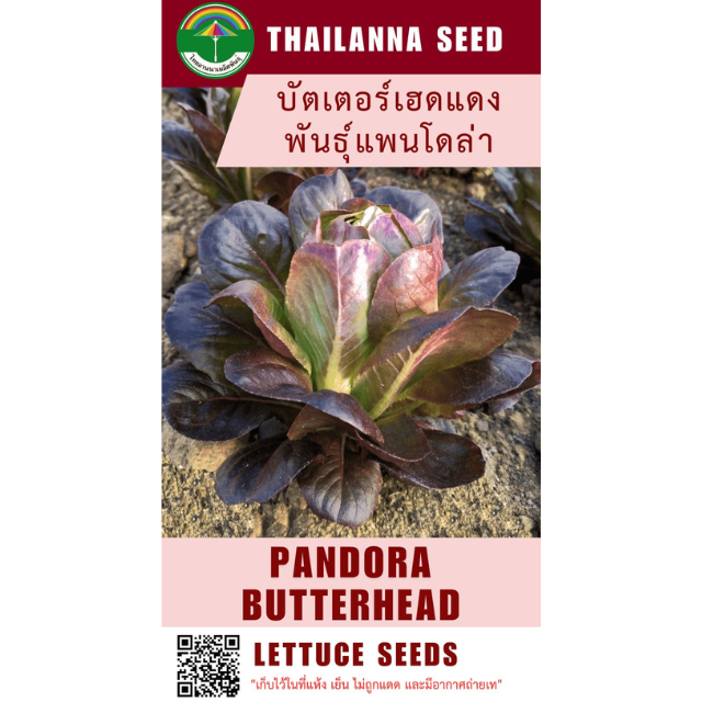 บัตเตอร์เฮดแดง พันธุ์แพนโดล่า ( ขนาด 0.25 กรัม ) รหัสสินค้า 2015