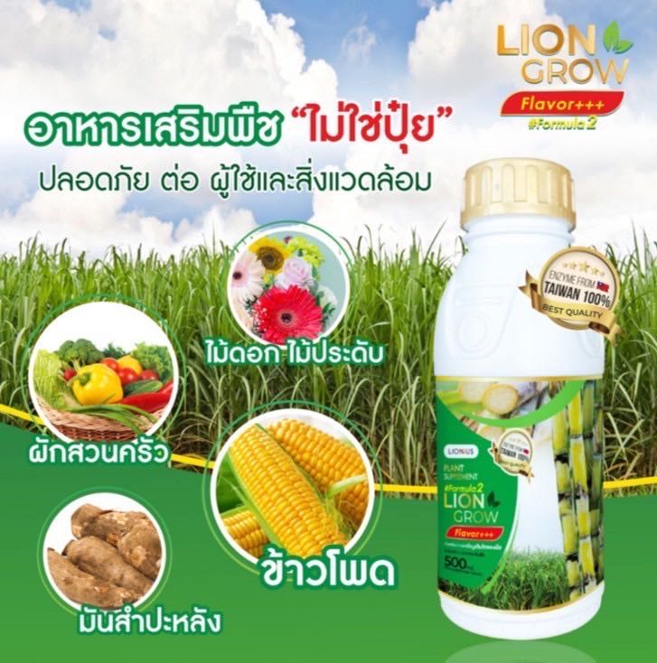 Lion Grow สูตร 2 อาหารเสริมพืช 1 ขวด
