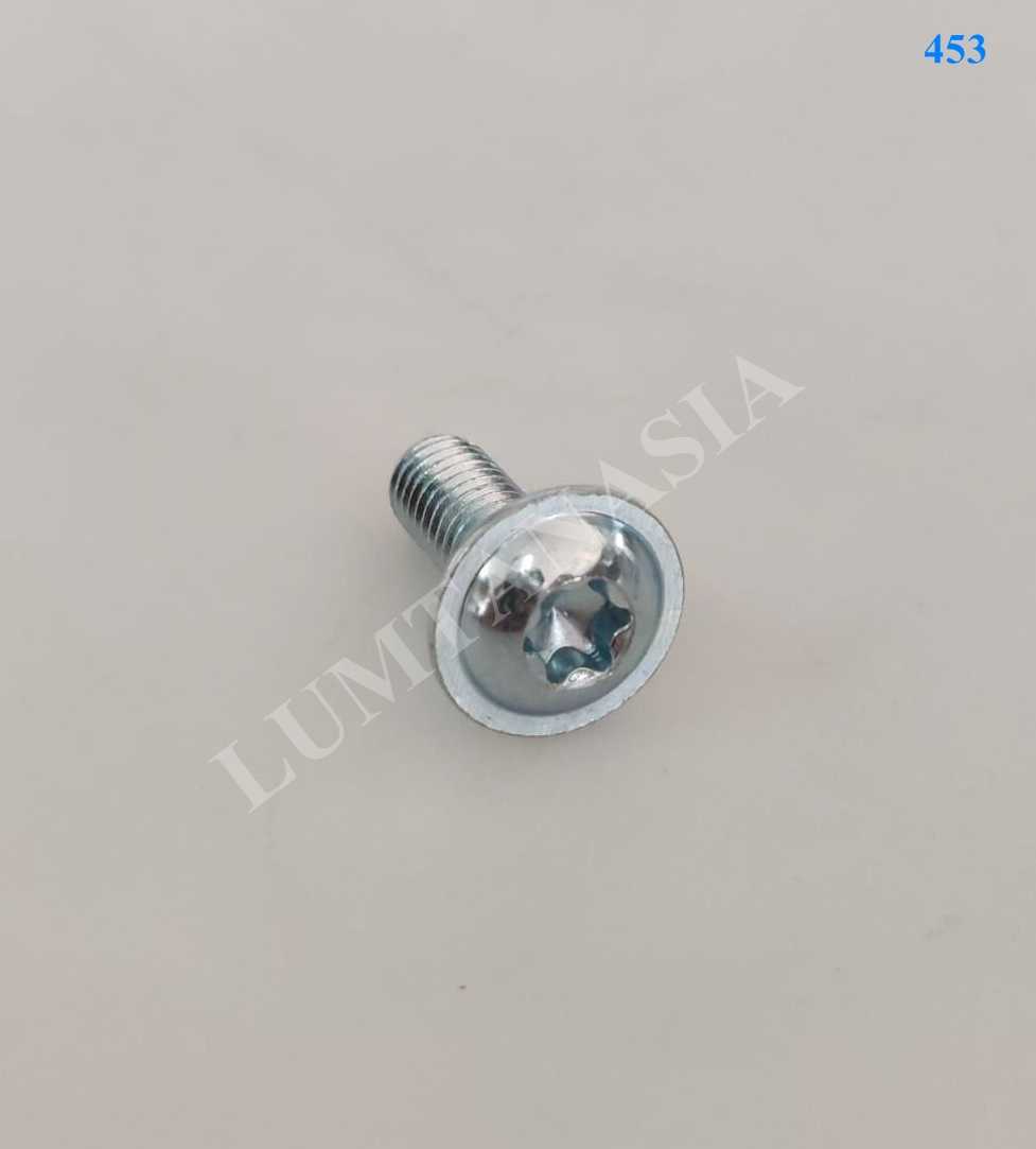 Primus Screw Torx TX30 M6x16 10.9 (LTA00479)