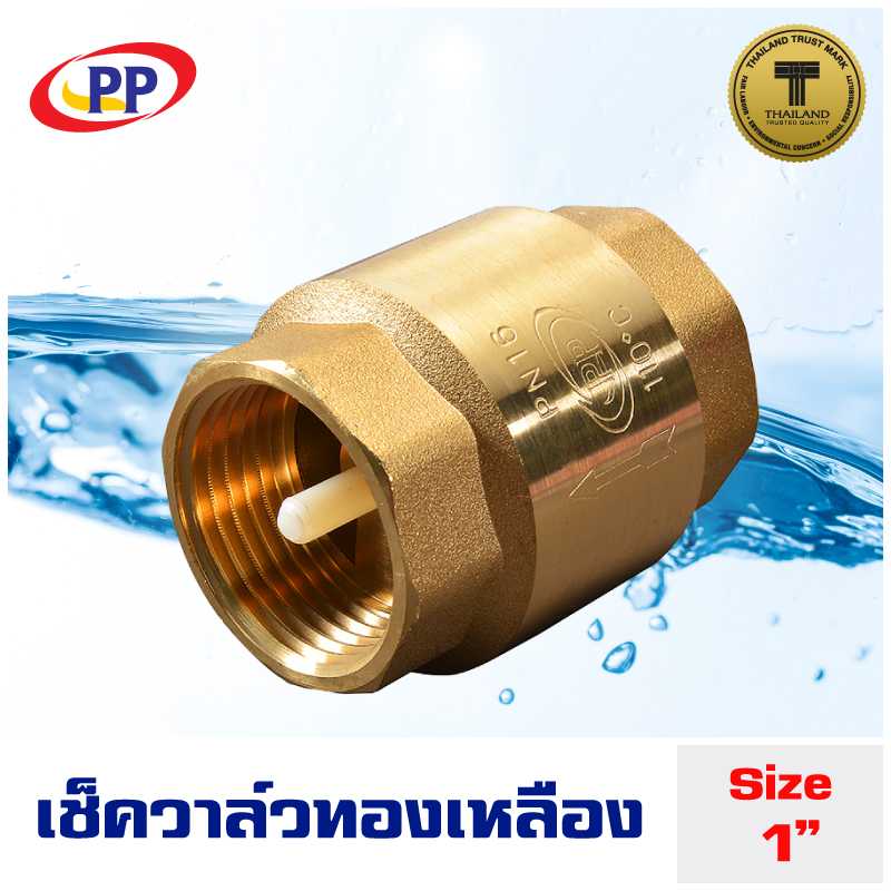 เช็ควาล์ว สปริงทองเหลือง  PP(พีพี) ขนาด 1นิ้ว (8หุน)
