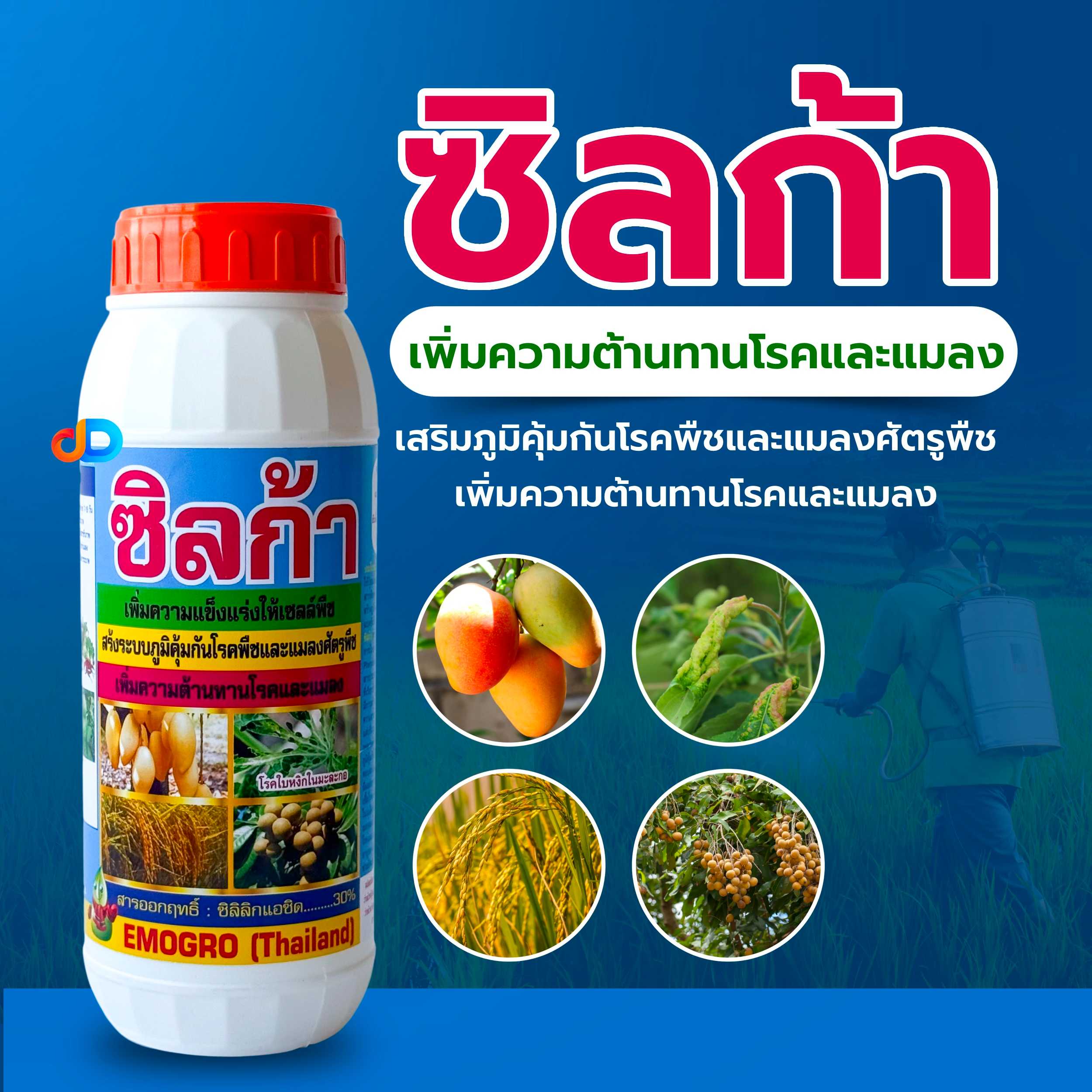 ซิลก้า ขนาด 1 ลิตร สารซิลิก้า หรือ ซิลกอน ช่วยให้ผนังเซลล์มีความแข็งแรง จึงช่วยสร้างภมูิต้านทานแมลง
