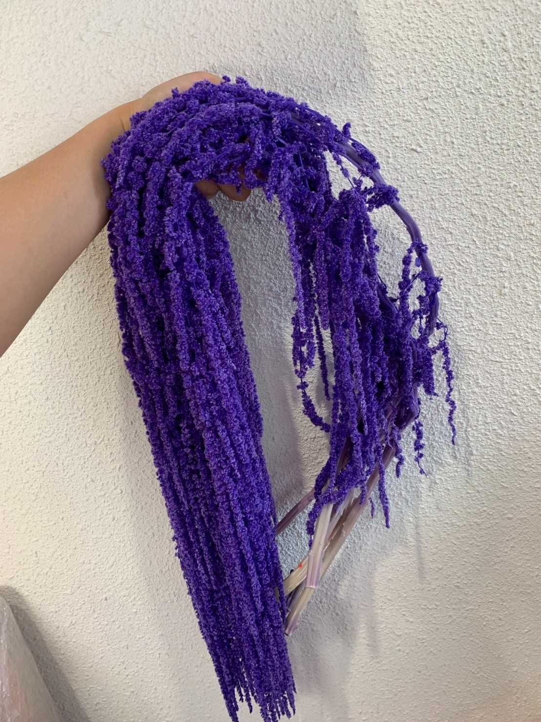 ผักโขมแห้ง - ม่วงเข้ม (bp)