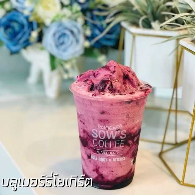 บลูเบอร์รี่โยเกิร์ต